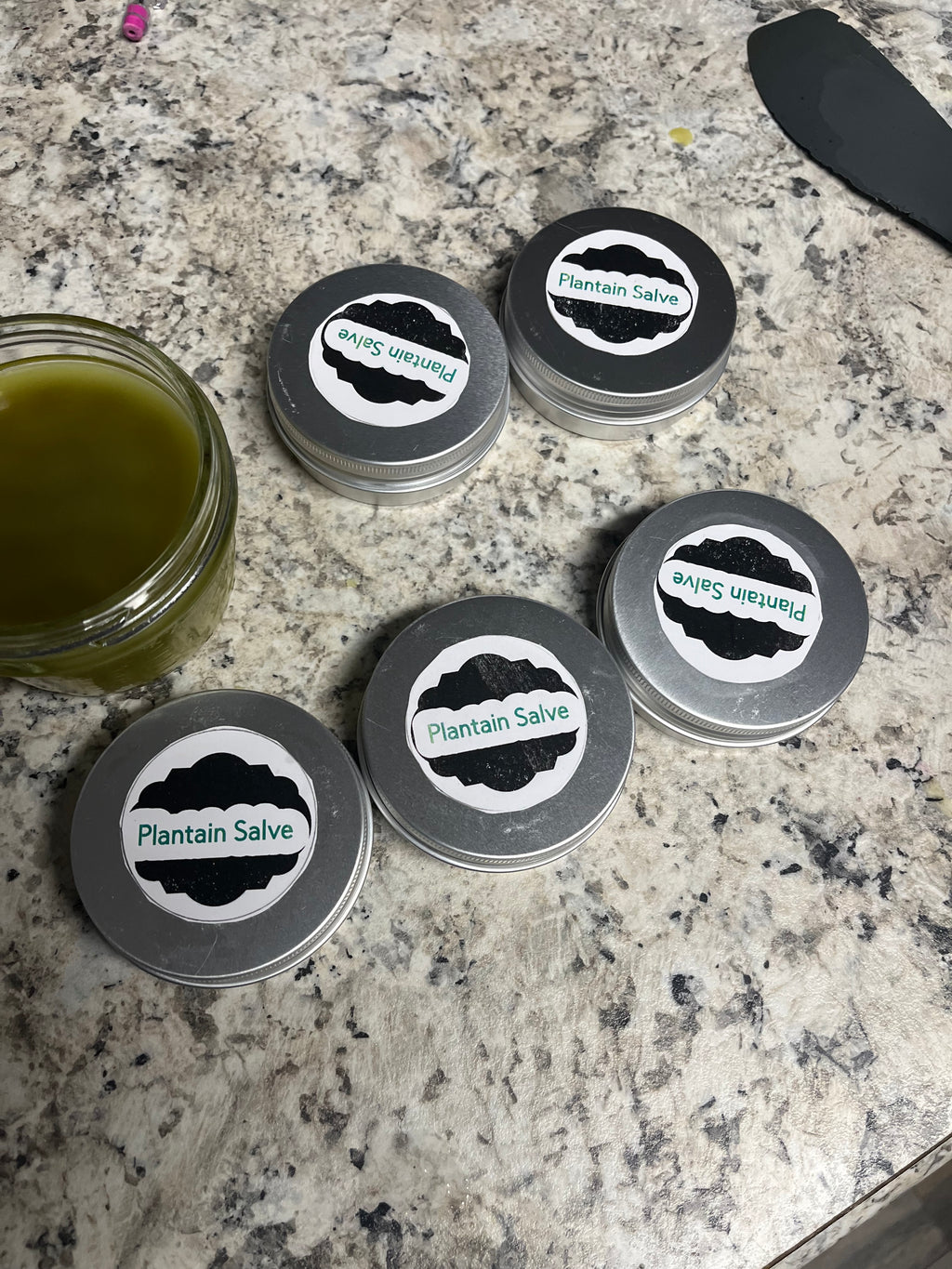 Plantain salve
